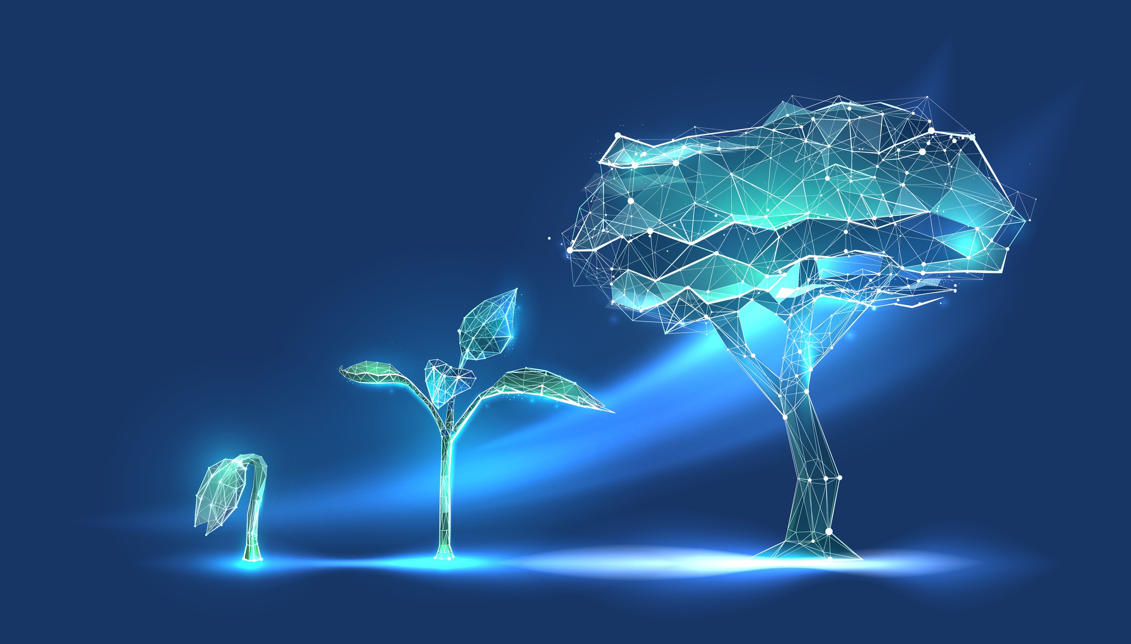 Digital evolution or seedling growth in futuristic polygonal